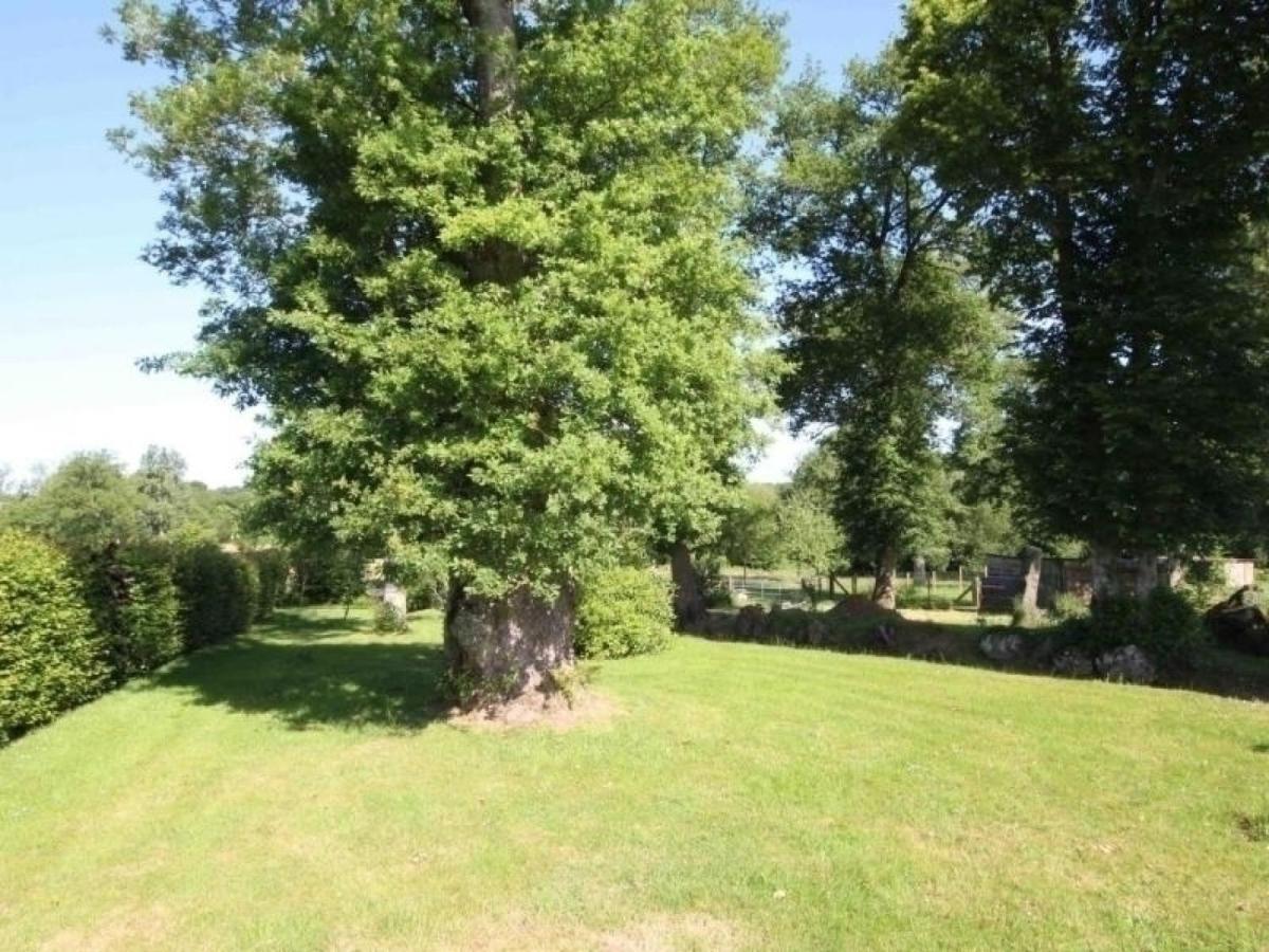 Longere Avec Piscine Chauffee, Jardin Et Velos A Dispo - Fr-1-497-4 Villa Sainte-Honorine-la-Guillaume Exterior foto